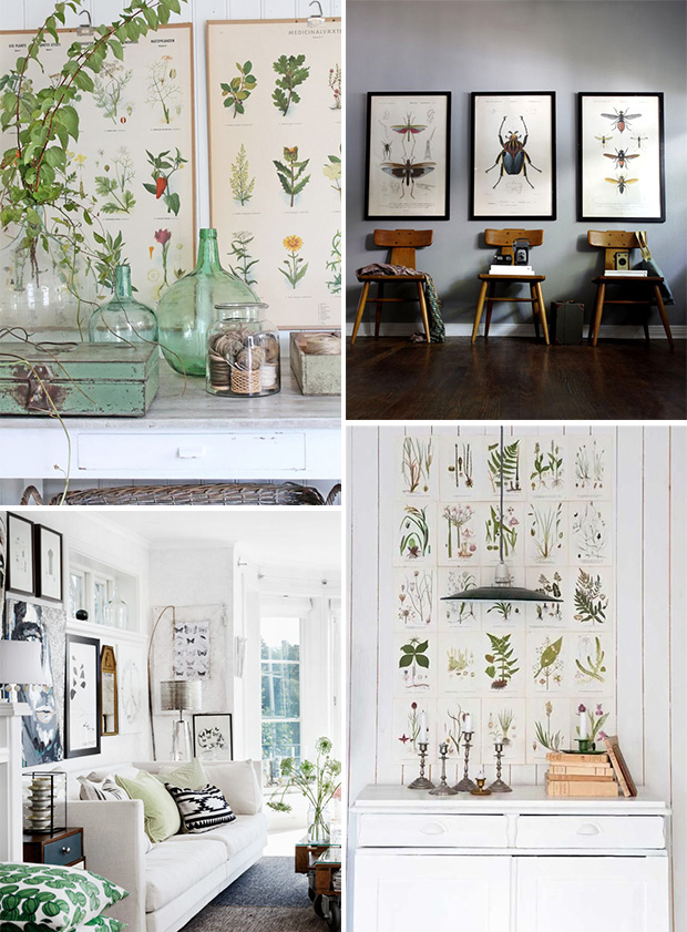 Use free printable vintage art to give a room a cabinet-of-curiosities feel with a gallery wall of natural art of plants or animals. #art