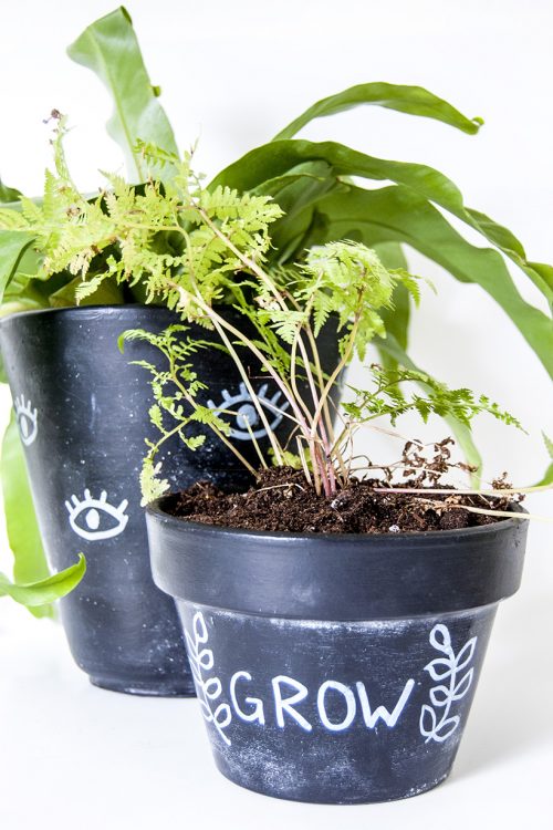 DIY chalkboard plant pots