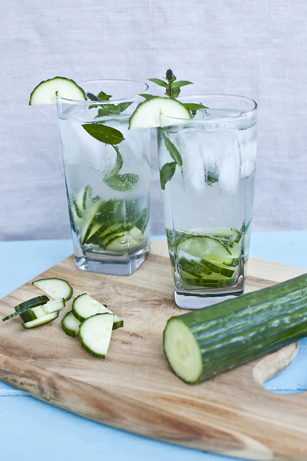 cucumber gin fizz cocktail recipe