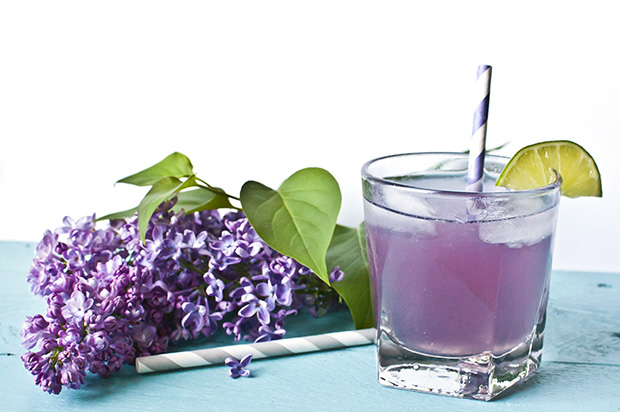 lilac spring cocktail recipe