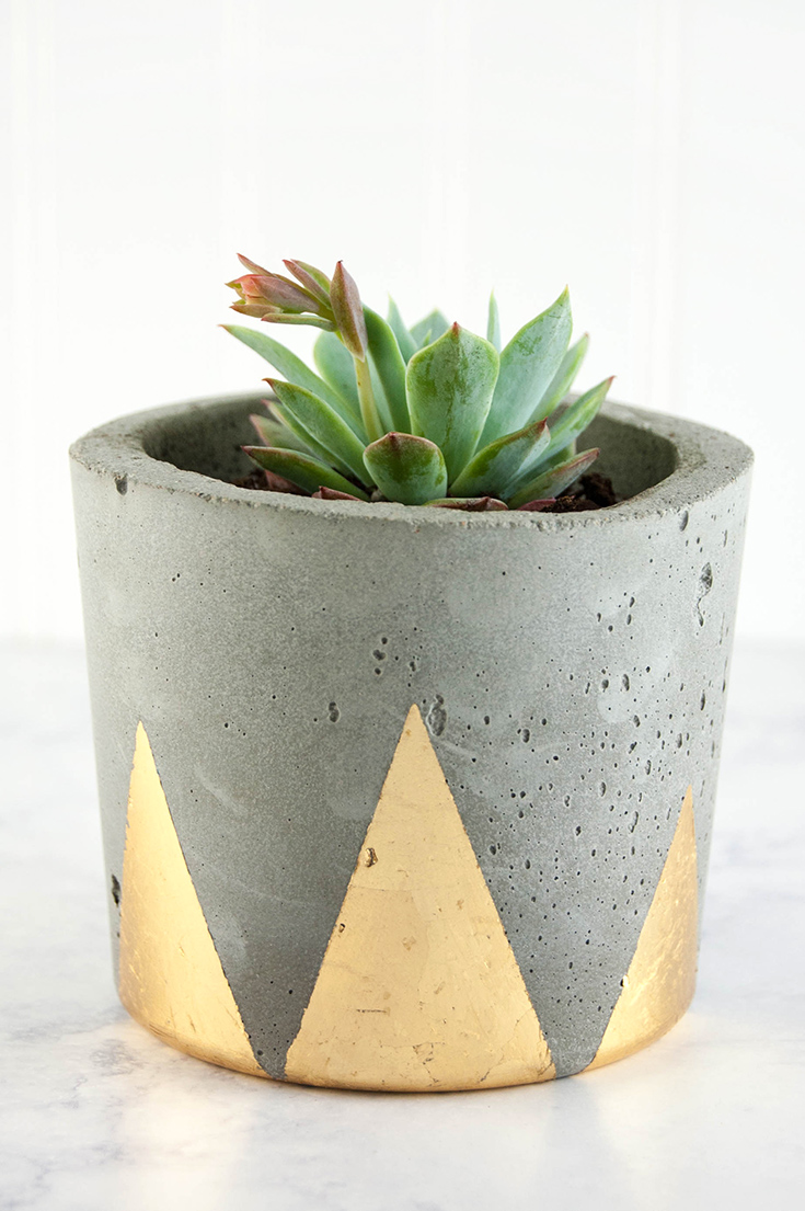 Concrete and Gold DIY Plant Pots
