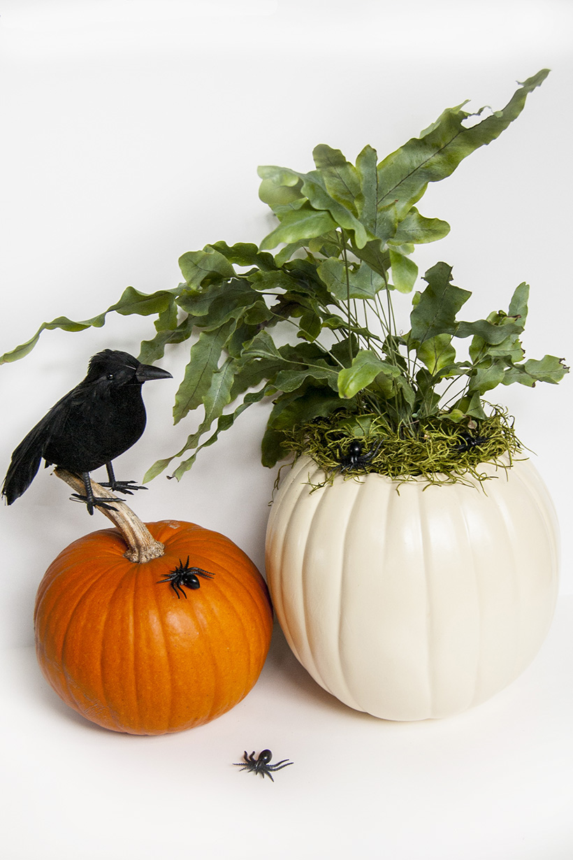 Make this Halloween pumpkin planter for a little bit of spooky Halloween decor that you can put out every year.