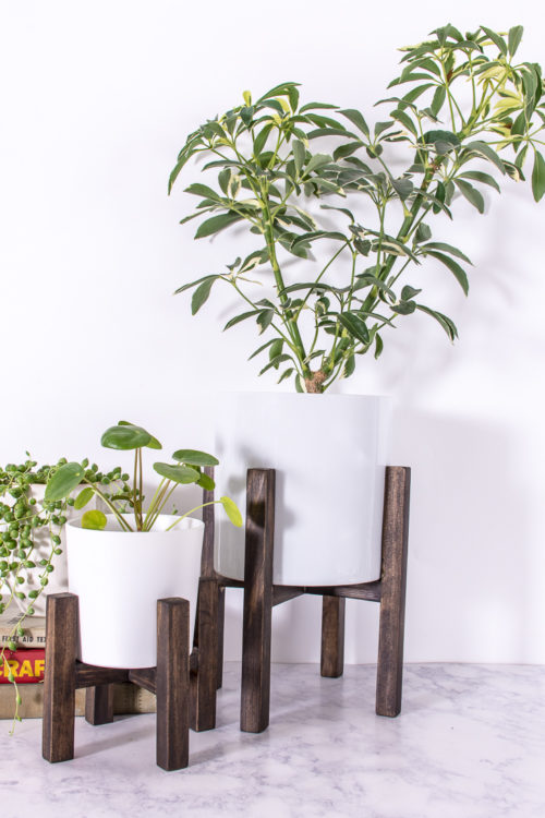 Learn how to make a mini tabletop plant stand