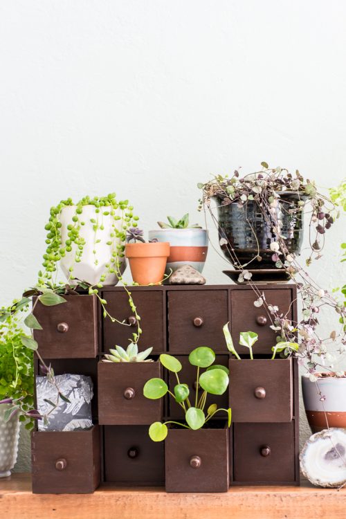 These DIY mini plant drawers are a pretty, vintage-inspired way to display your plants.