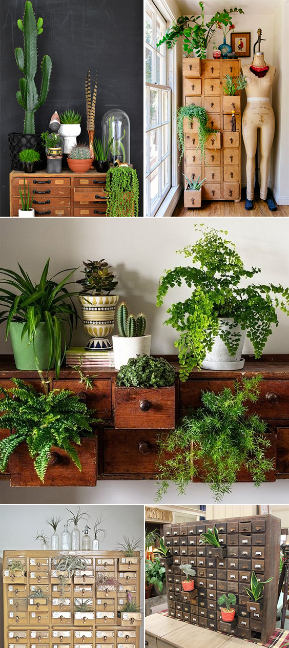 card catalogs + plants = a match made in heaven