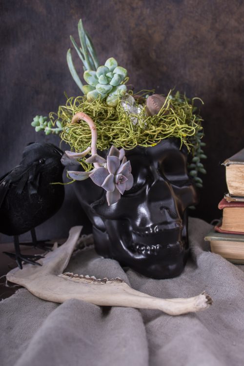 Keep it spooky with these DIY black Halloween skull planters.