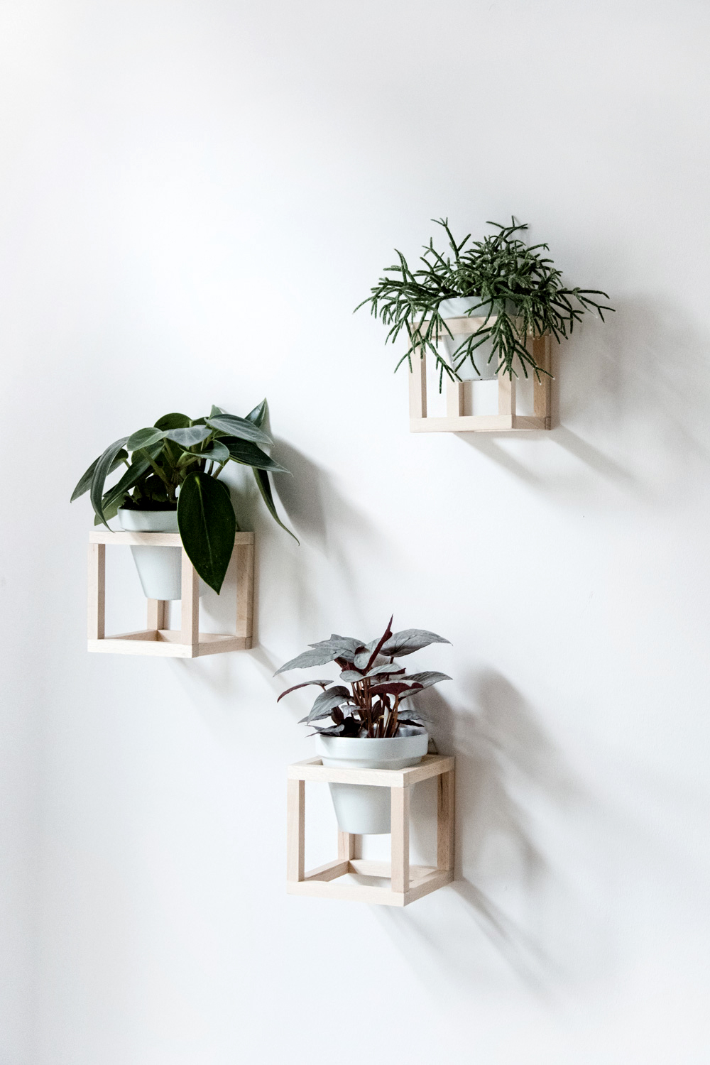 Cube hanging planters