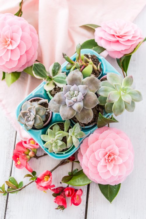 This cute Easter egg planter centerpiece does double-duty as table decor and a spot to propagate succulents. #Easter #plants #planter #houseplants #succulents